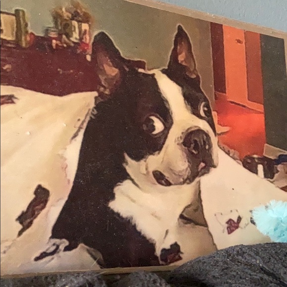 Meet your Posher, Barbara - Picture 1 of 1